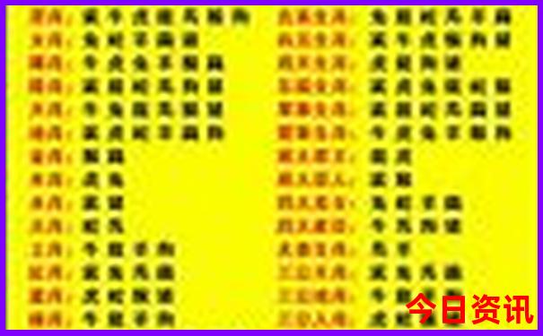 2025港六今晚开奖号码